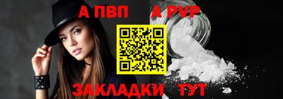 ешки Гай