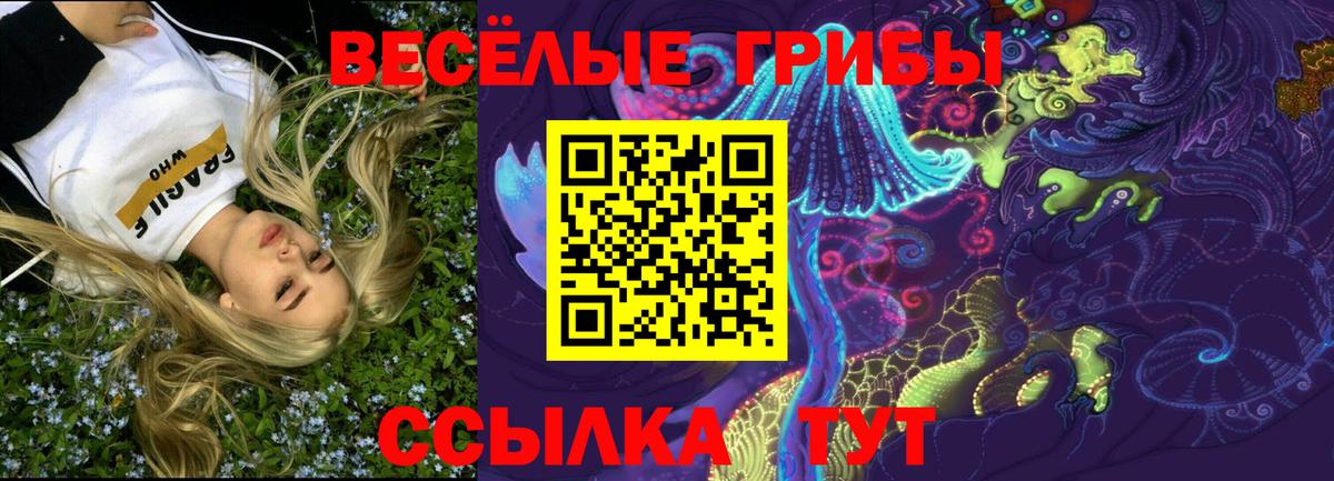 Псилоцибиновые грибы мицелий Лесосибирск