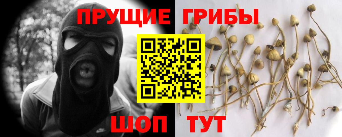 Галлюциногенные грибы Magic Shrooms  Вход с VPN  купить   Псилоцибиновые грибы Cubensis  Лесосибирск 